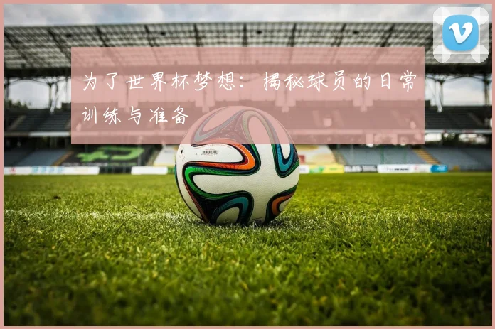 为了世界杯梦想:揭秘球员的日常训练与准备