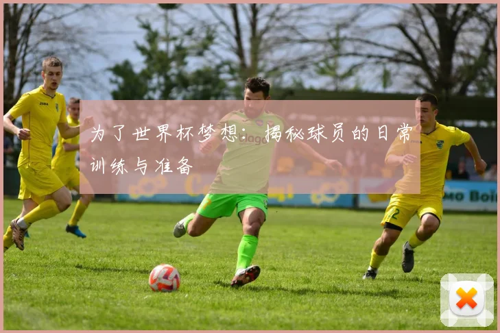 为了世界杯梦想：揭秘球员的日常训练与准备
